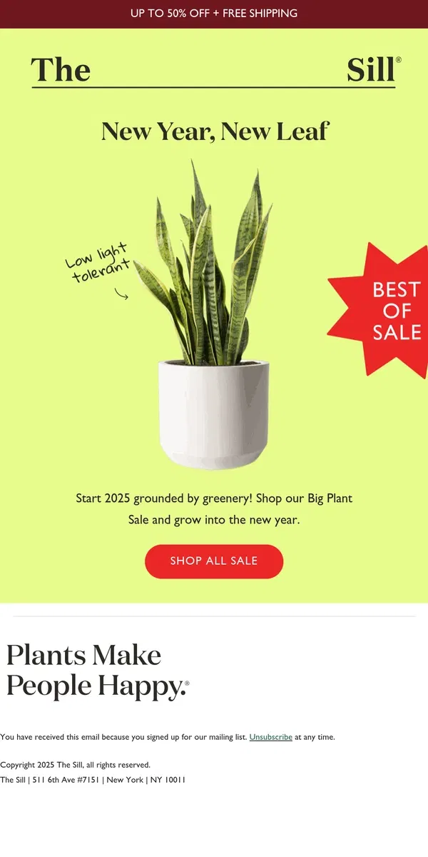 Email from The Sill. The Best Of Our Big Plant Sale