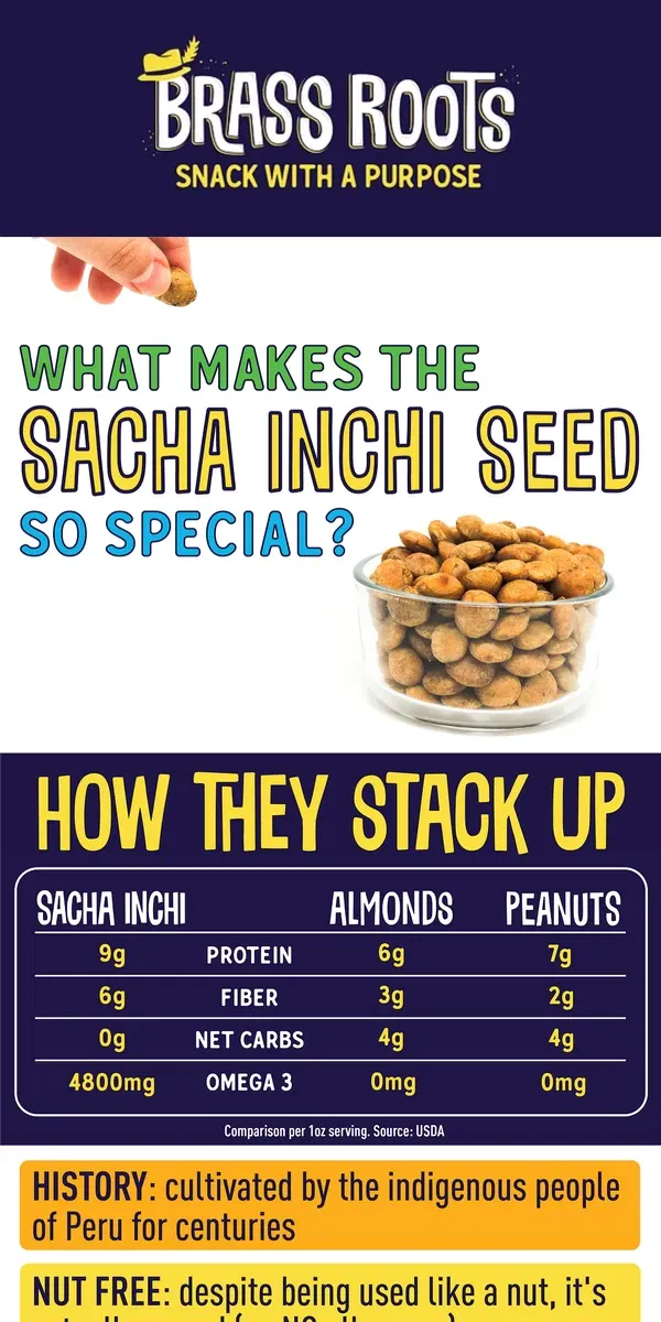 Email from Brass Roots. What IS a Sacha Inchi seed?