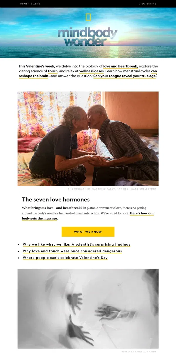 Email from National Geographic. The seven love hormones; the science of touch;   outdoor ’therapy’; ending a toxic relationship (with sugar)