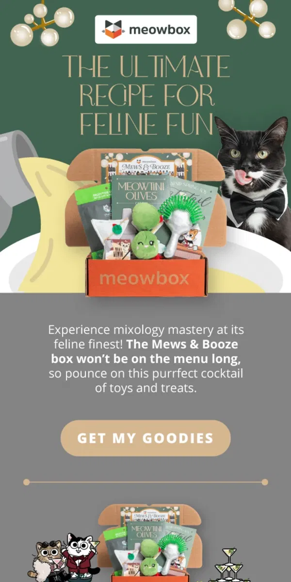 Email from meowbox. Meowtini, anyone? 🍸🫒