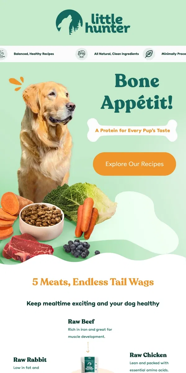 Email from Little Hunter. Upgrade Your Pup’s Bowl: 5 Meaty Recipes They’ll Love 💚 🐾