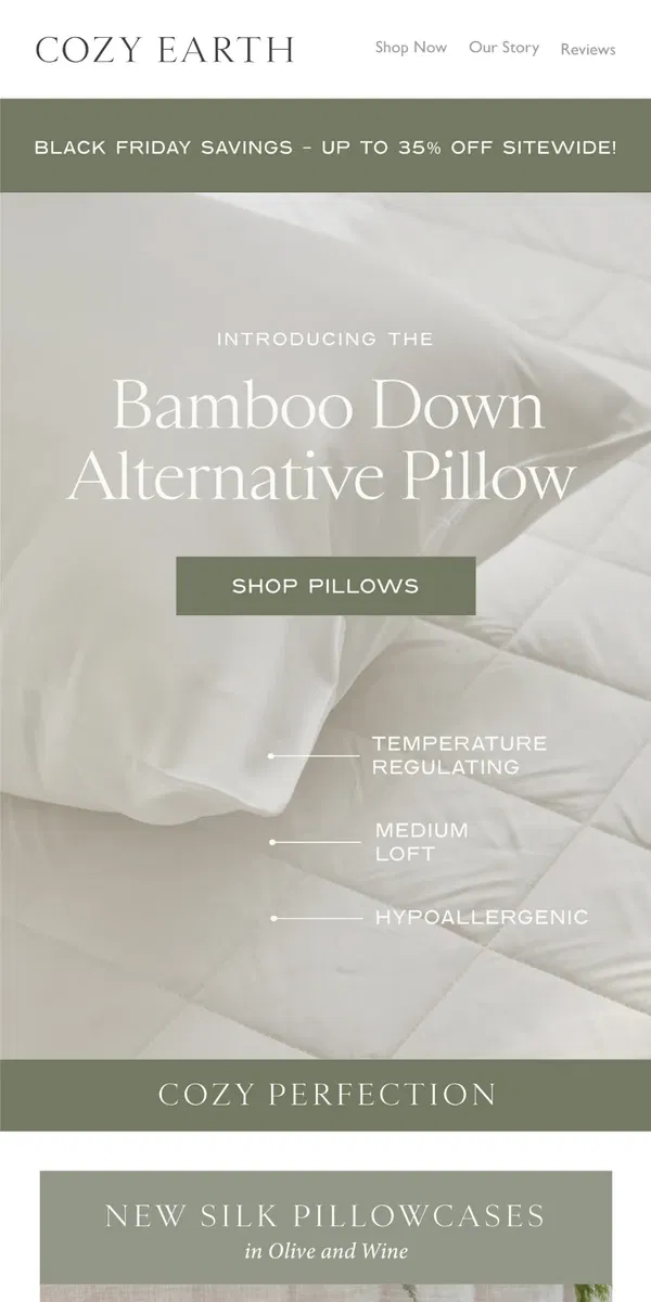 Email from Cozy Earth. Introducing The Bamboo Down Alternative Pillow ☁️