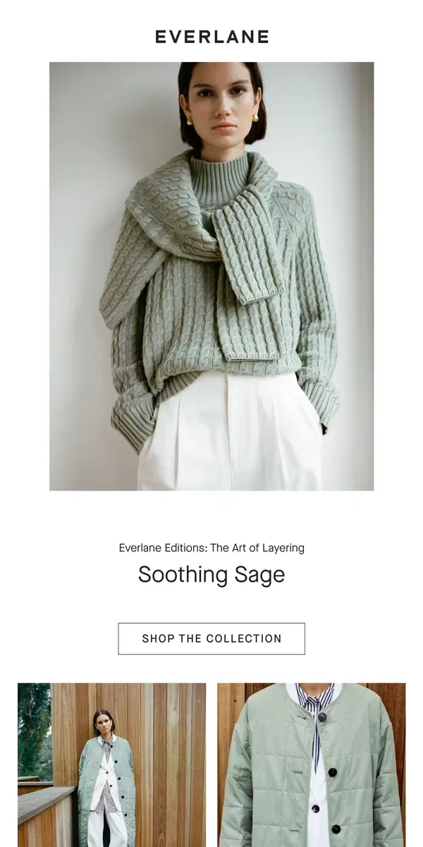 Email from Everlane. Our Newest Hue: Calming Sage