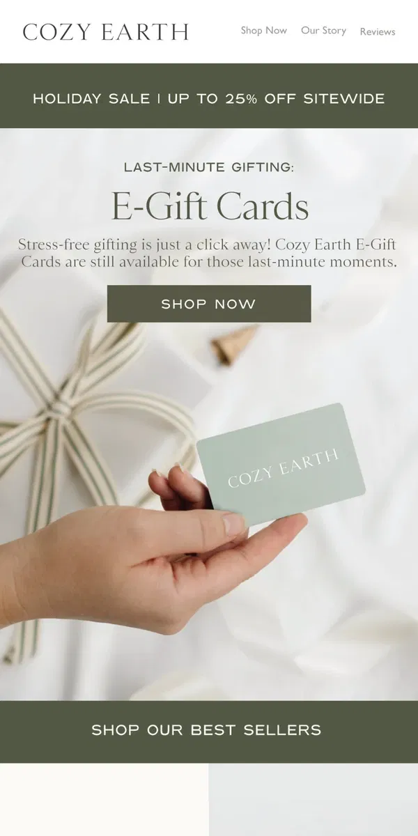 Email from Cozy Earth. Last Minute Gifting?