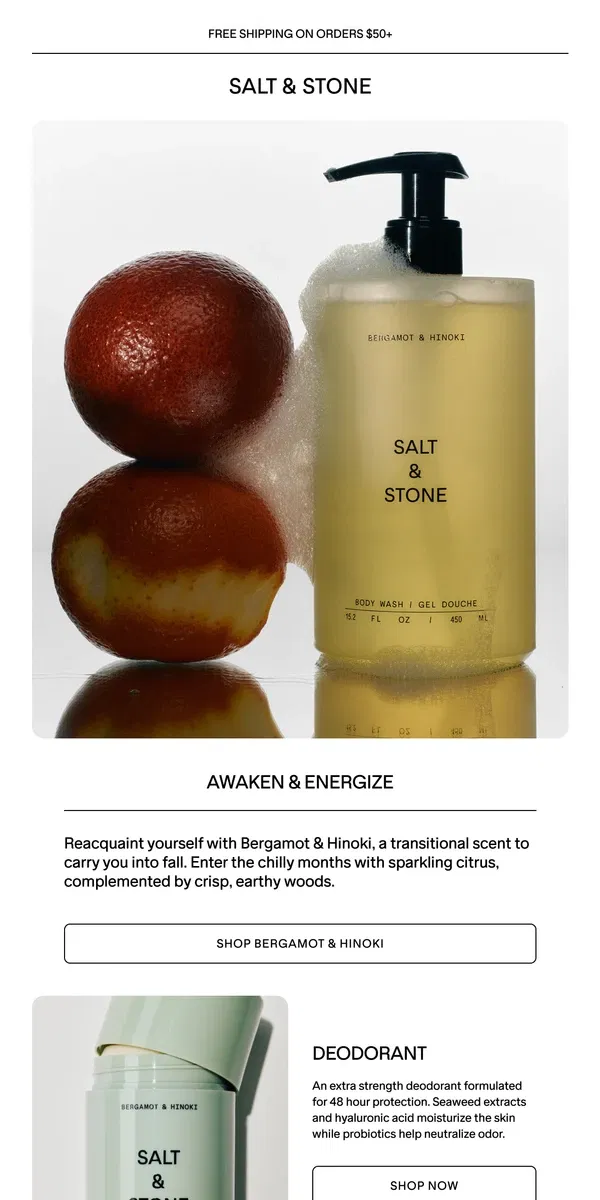 Email from SALT & STONE. Good Morning, Bergamot