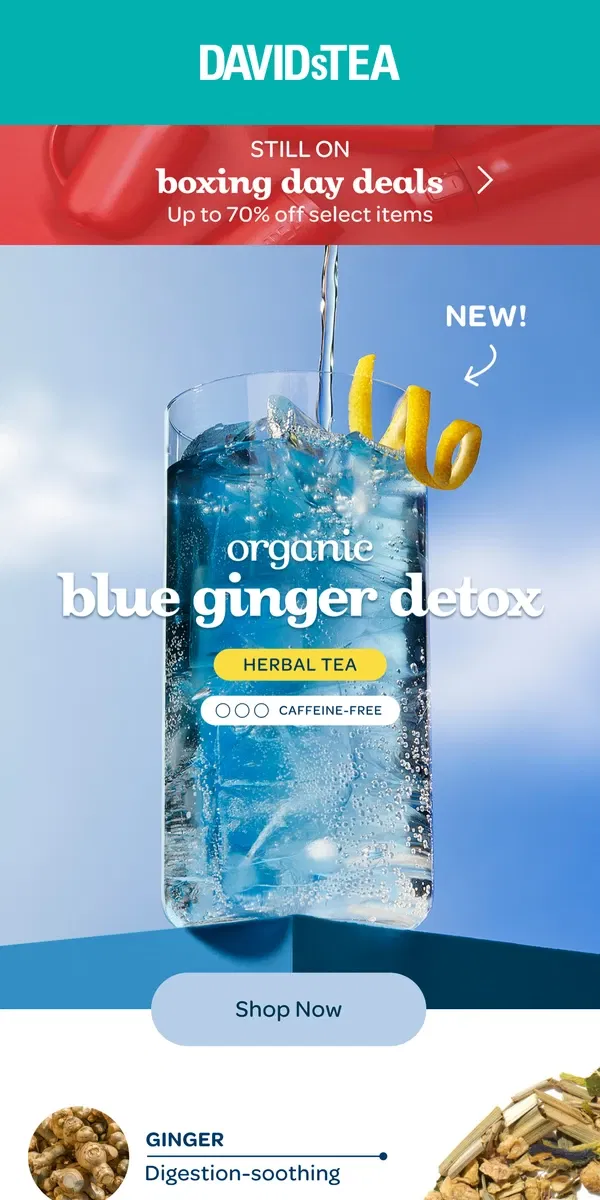 Email from DAVIDsTEA. NEW! Organic Blue Ginger Detox 😍