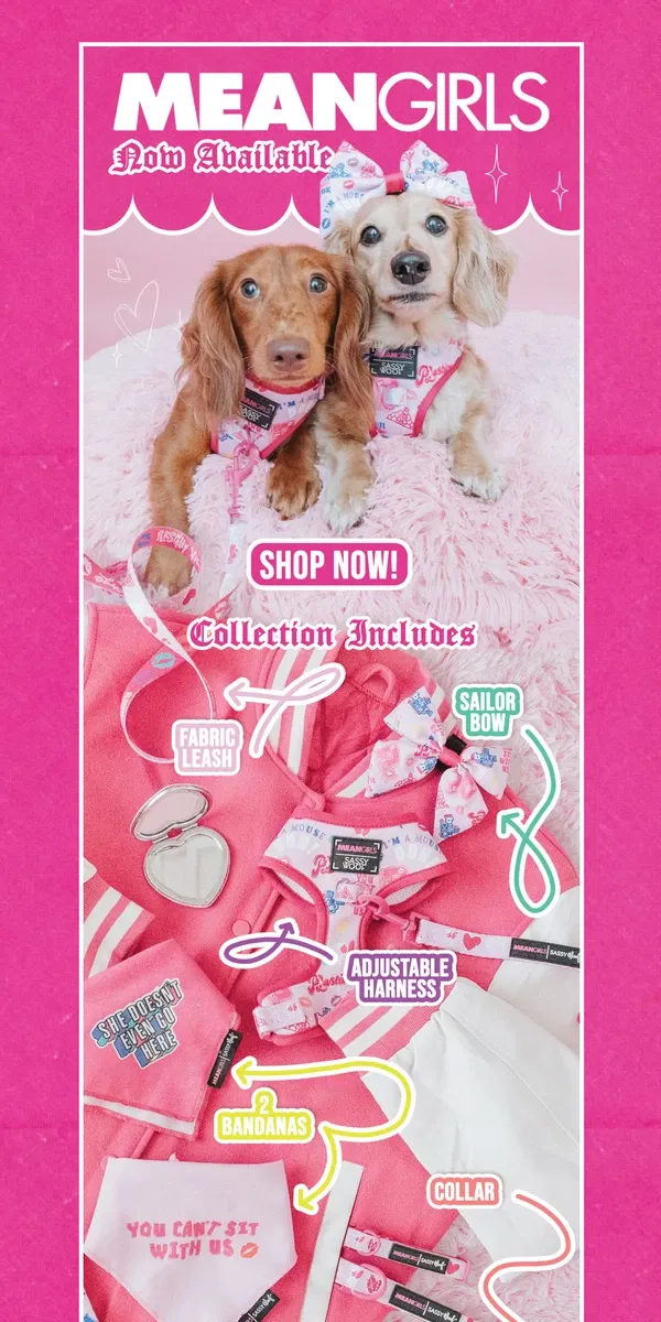 Email from Sassy Woof. Mean Girls Collection! 💋