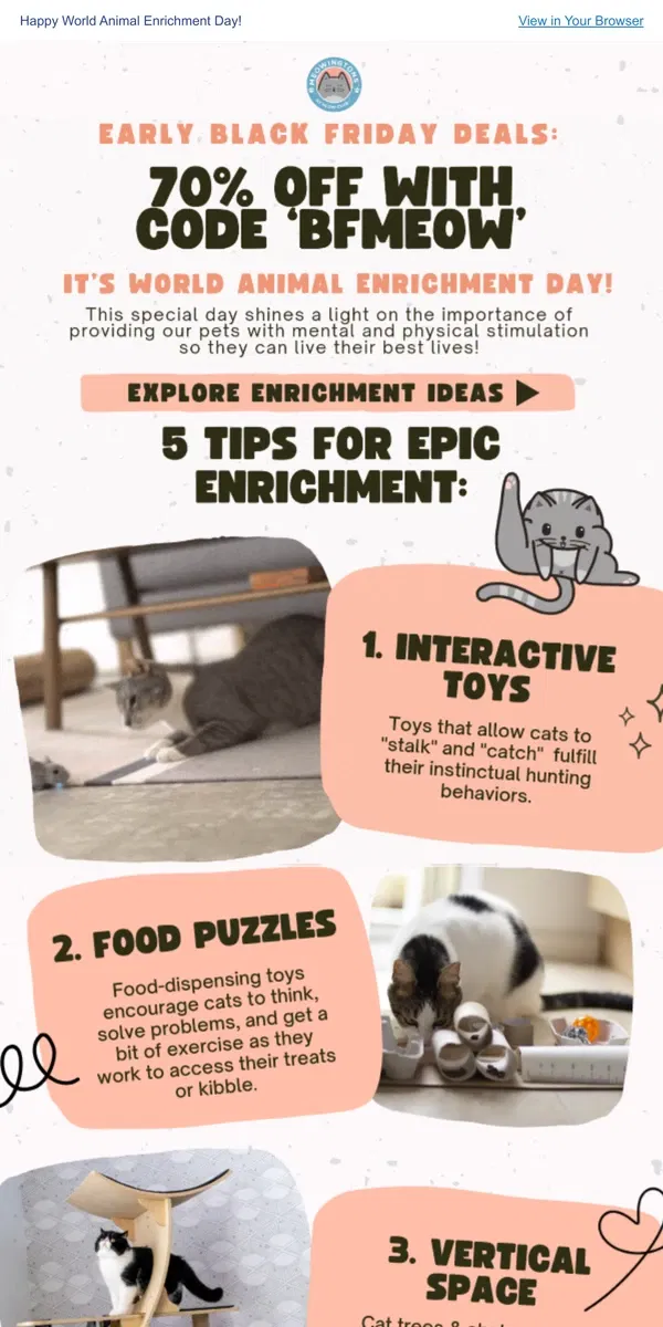 Email from Meowingtons. Fun Ways to Enrich Your Cat's Day 💡🐈