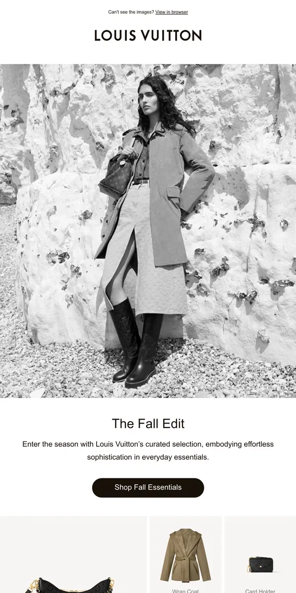 Email from Louis Vuitton. The Fall Edit