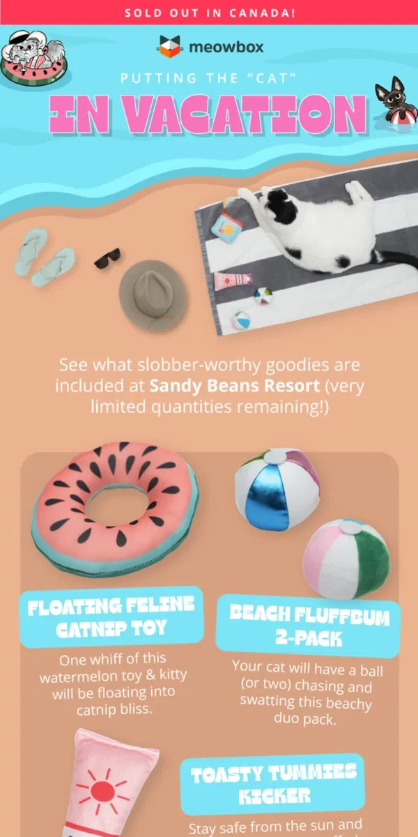 Email from meowbox. See what we’re packing in this month’s box 🧳🏝️