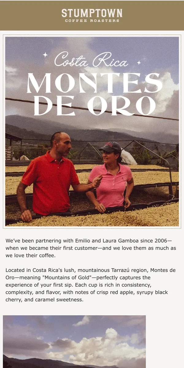 Email from Stumptown Coffee Roasters. Costa Rica Montes de Oro is back