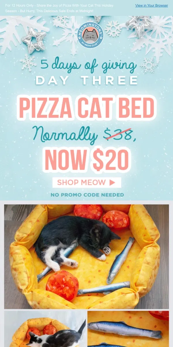 Email from Meowingtons. 5 Days of Giving 🍕 Day 3 of Deals!