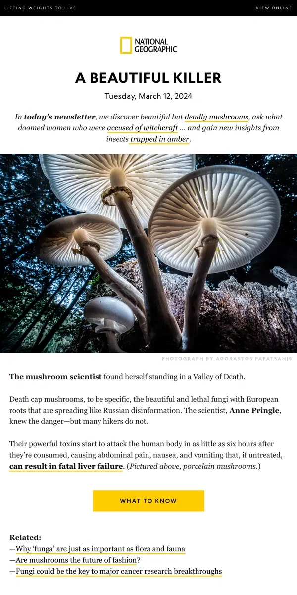 Email from National Geographic. Sex, 38 million years ago; Plus, the deadliest mushroom is spreading; what doomed Joan of Arc?