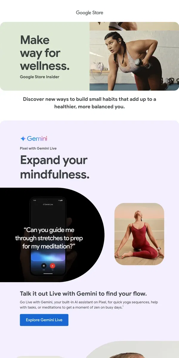 Email from Google Store. Reach your wellness goals with help from Google