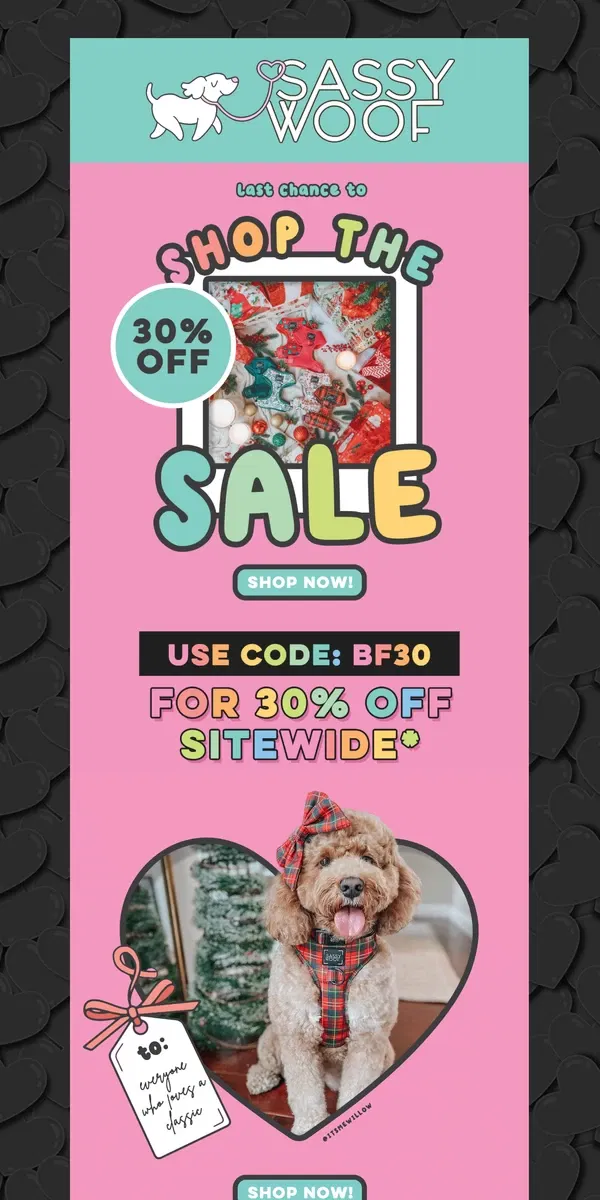 Email from Sassy Woof. LAST CHANCE ✨30% off✨