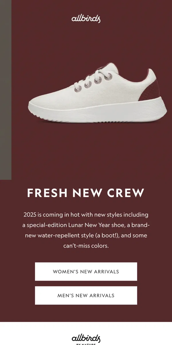 Email from Allbirds. New Year, Meet New Shoes 🎉