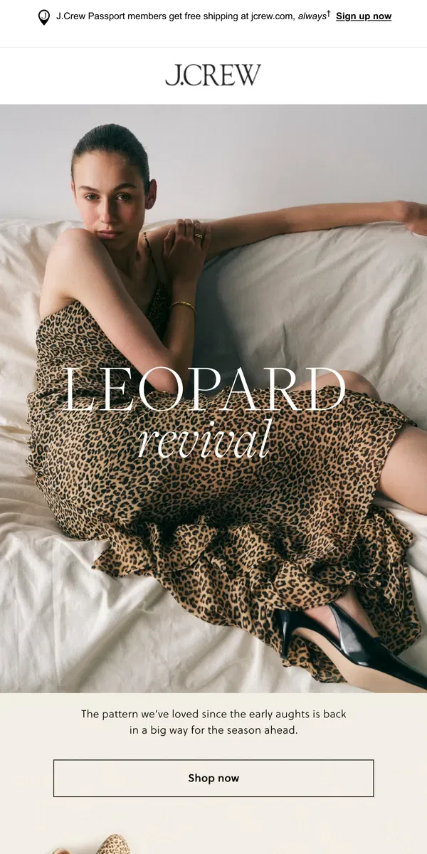 Email from J.Crew. Spotted: all things leopard print