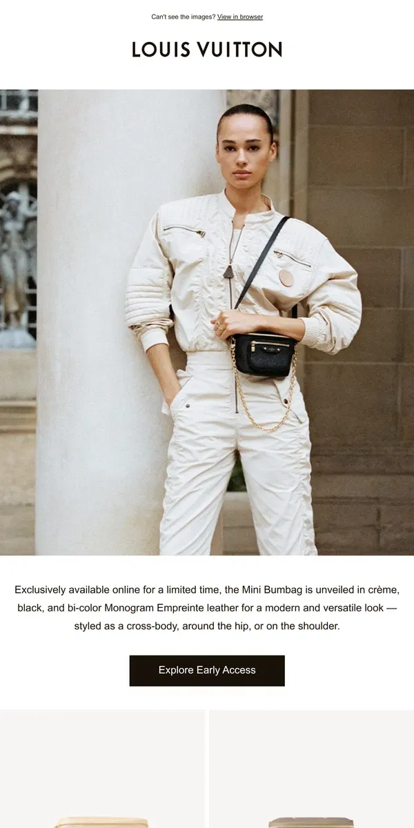 Email from Louis Vuitton. Online Exclusive: Mini Bumbag In Monogram Empreinte