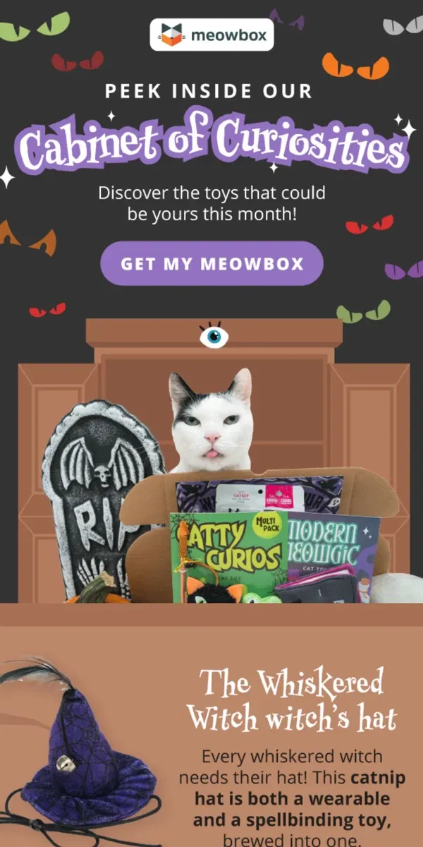 Email from meowbox. 🎃 UNBOX MAGIC: Our Special Halloween Treats Await! 🧙‍♀️