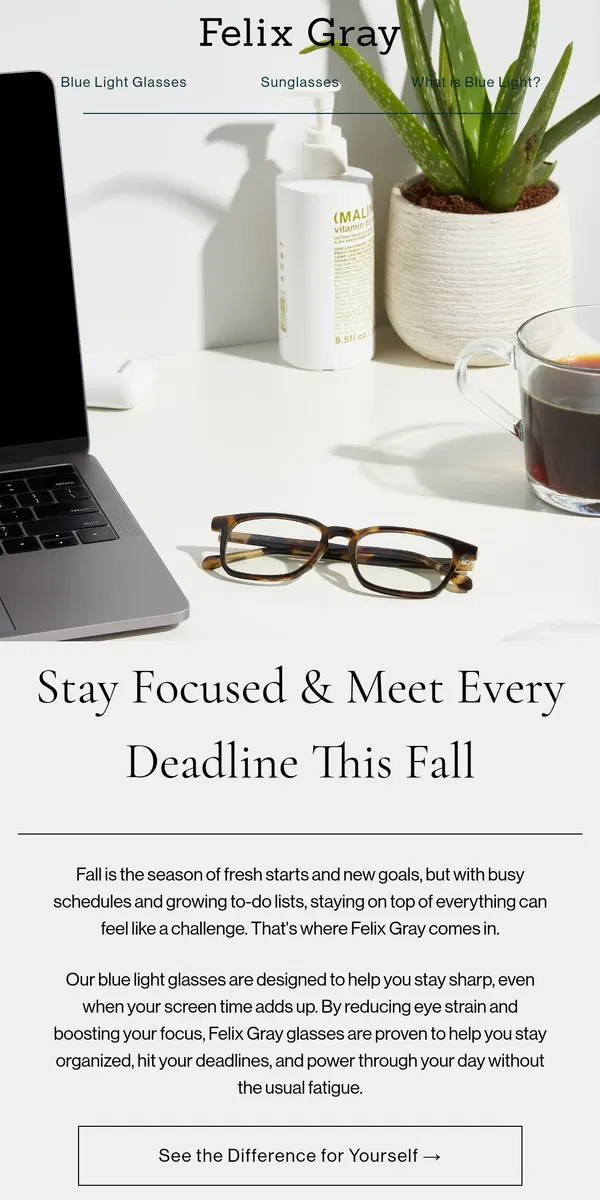 Email from Felix Gray. Get More Done This Fall: Glasses That Help You Stay Sharp