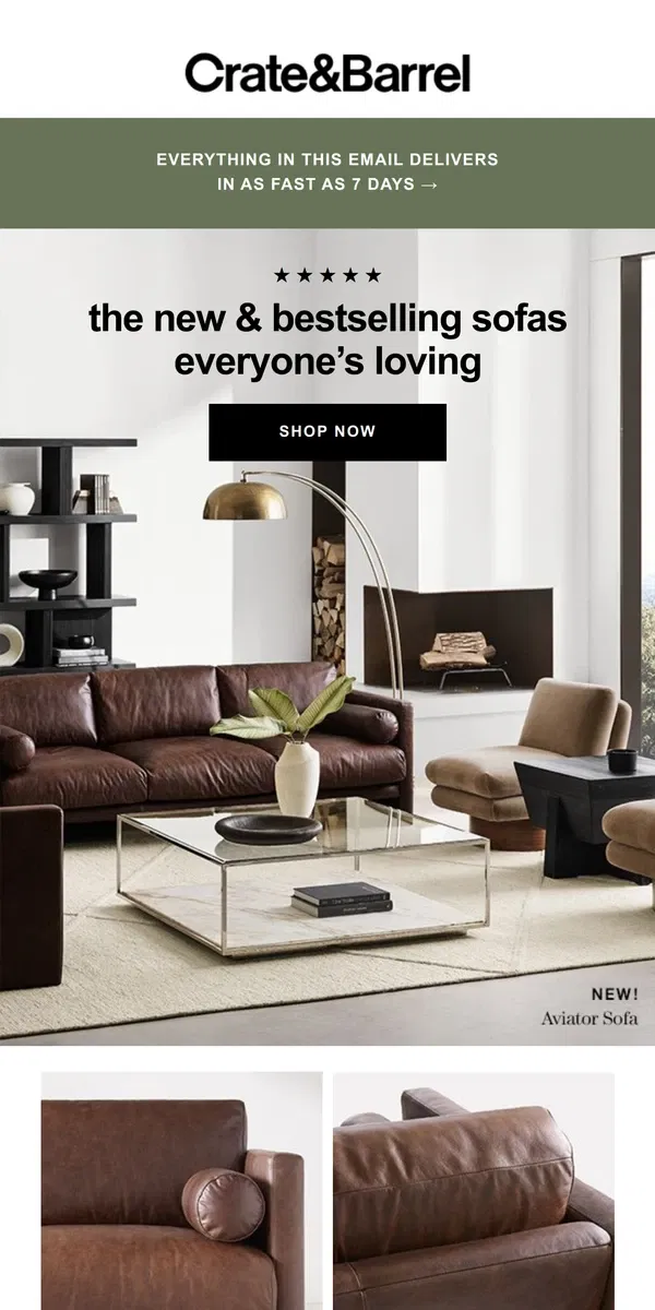 Email from Crate & Barrel. Meet the sofas everyone’s raving about →