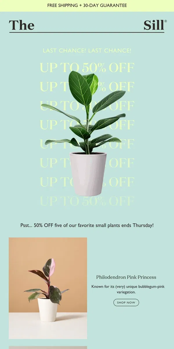 Email from The Sill. Unique + 50% Off - Ends Thursday!