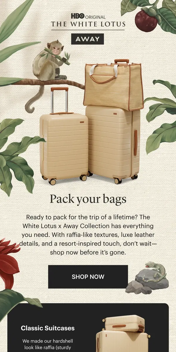 Email from Away. The White Lotus x Away packing guide