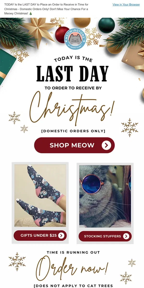 Email from Meowingtons. Last Day for Christmas Shipping! 🎁🙀