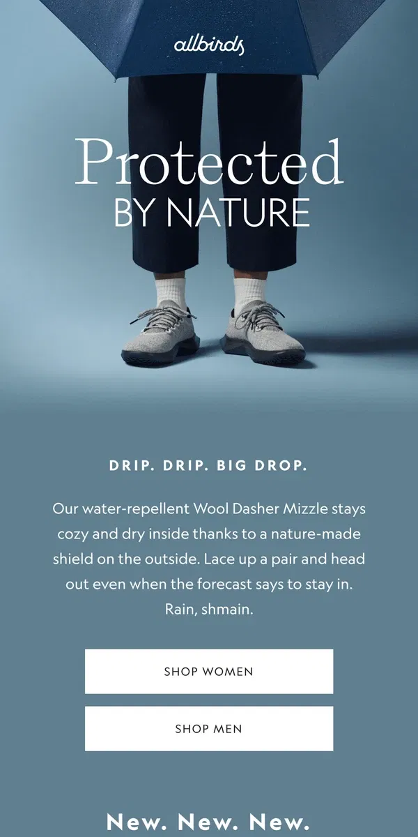 Email from Allbirds. Two Words: Weather. Repellent.