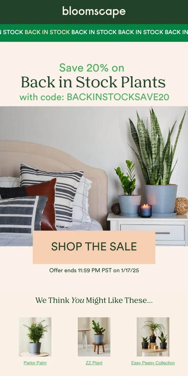 Email from Bloomscape. Flash Sale⚡: Back in Stock Plants