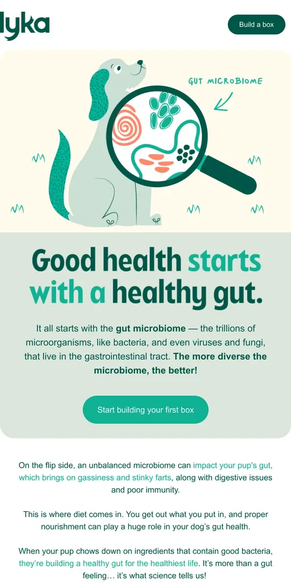 Email from Lyka. How Lyka helps your pup's gut microbiome 🧪