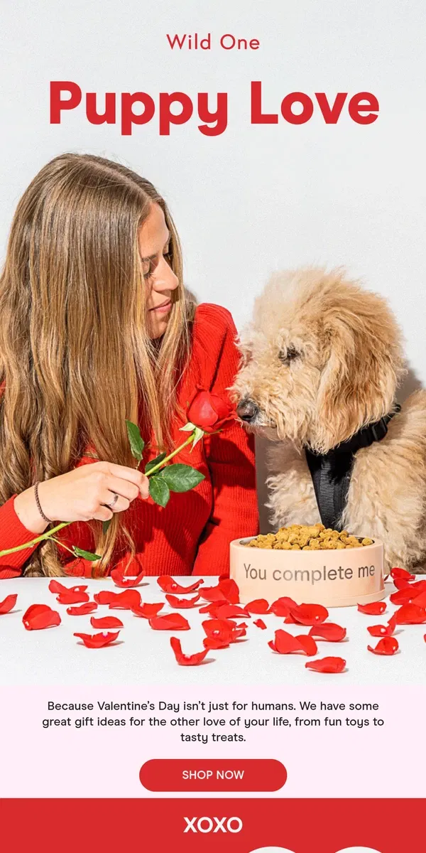 Email from Wild One. V-Day Gifts For Your Bestie🐶