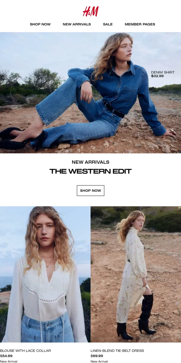 Email from H&M. The Western edit