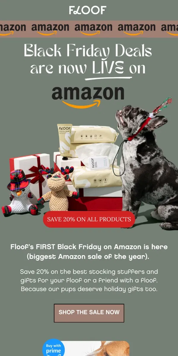 Email from Floof. 🚨 Amazon Black Friday Starts Now: Huge Deals on Floof Faves! 🐾