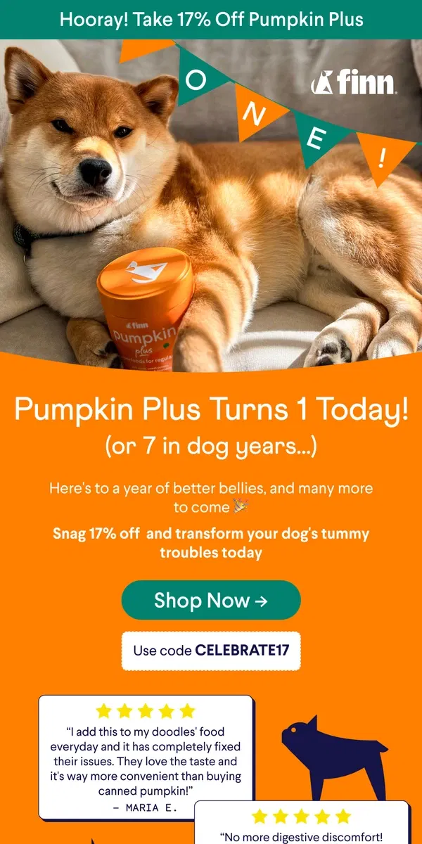 Email from Finn. 🎉 17% OFF Pumpkin Plus – 1 Year of Tummy Relief, And Counting! 🐕