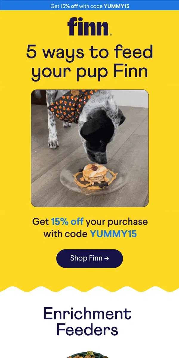 Email from Finn. Eat, Play, Love: 5 Ways to Feed  + Get 15% Off!