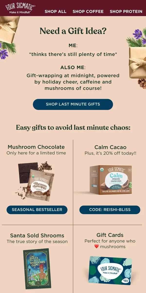 Email from Four Sigmatic. The last minute gift you need