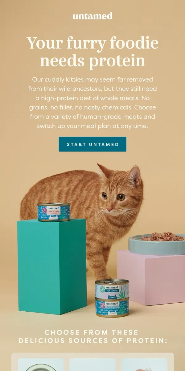 Email from Untamed Cat Food. Your furry foodie needs protein