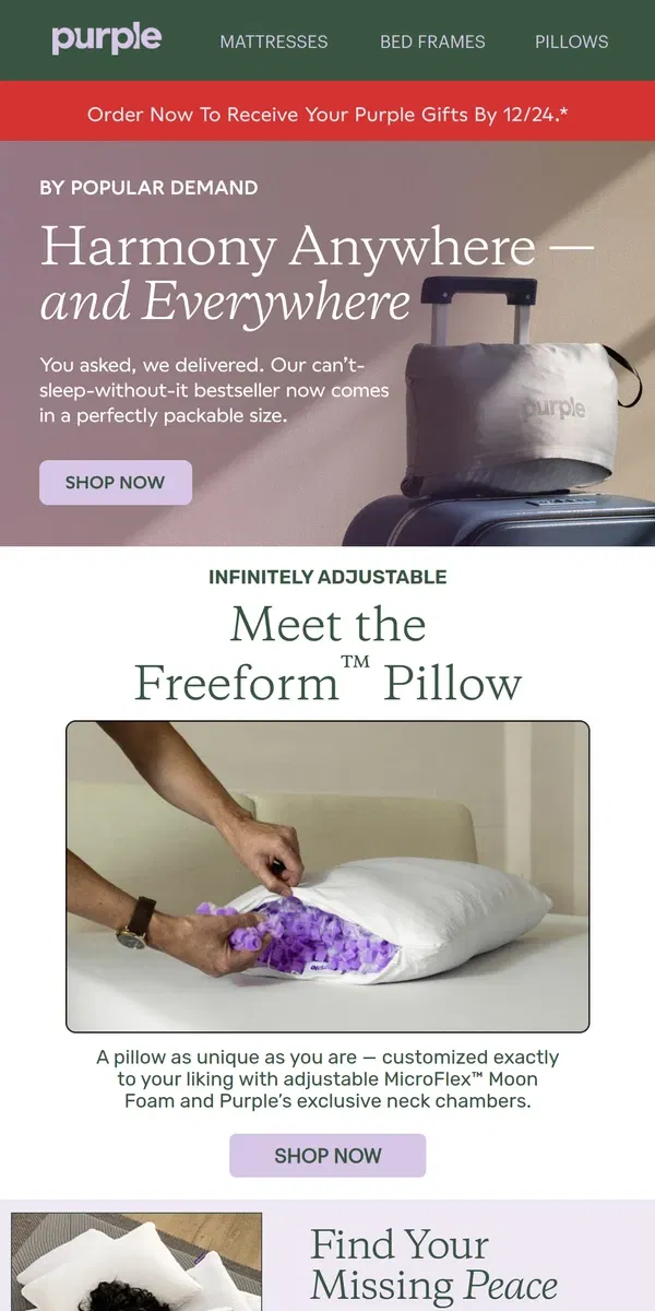 Email from Purple. You’ve never seen pillows like these.