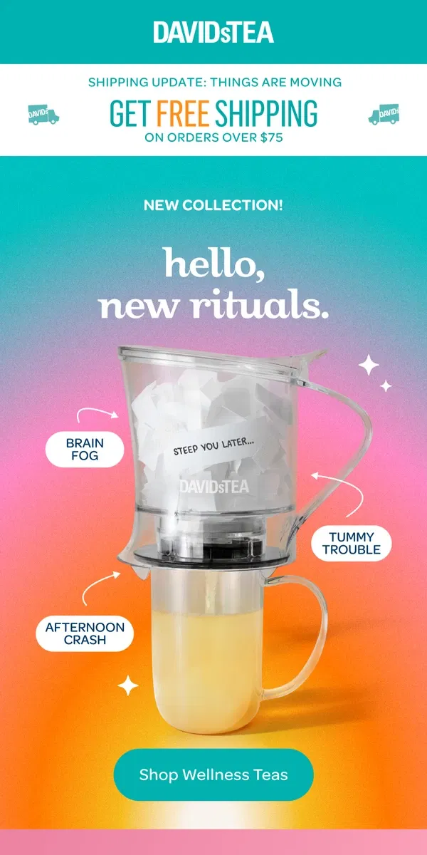 Email from DAVIDsTEA. NEW COLLECTION 🩵💜🩵🧡💛