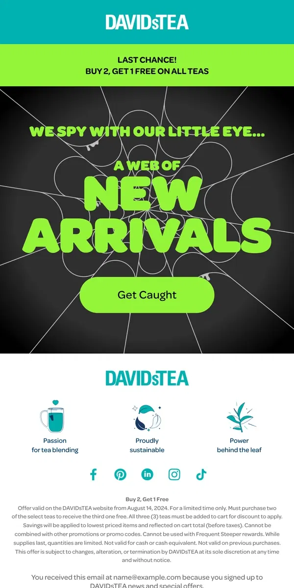 Email from DAVIDsTEA. Spotted: NEW 👀🕸️🕷️