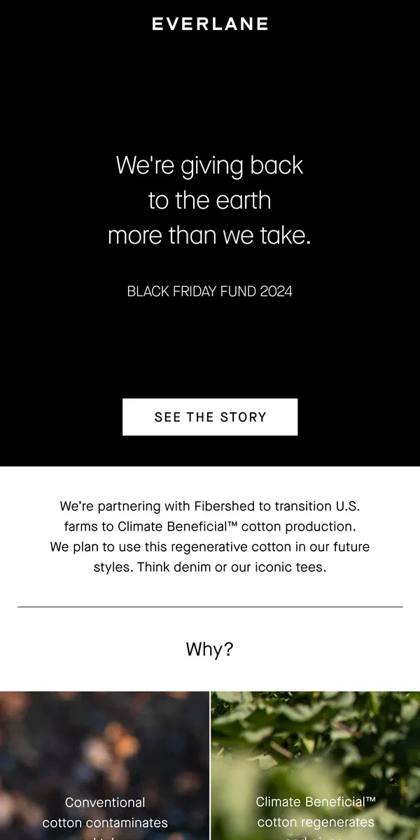 Email from Everlane. Black Friday Fund 2024