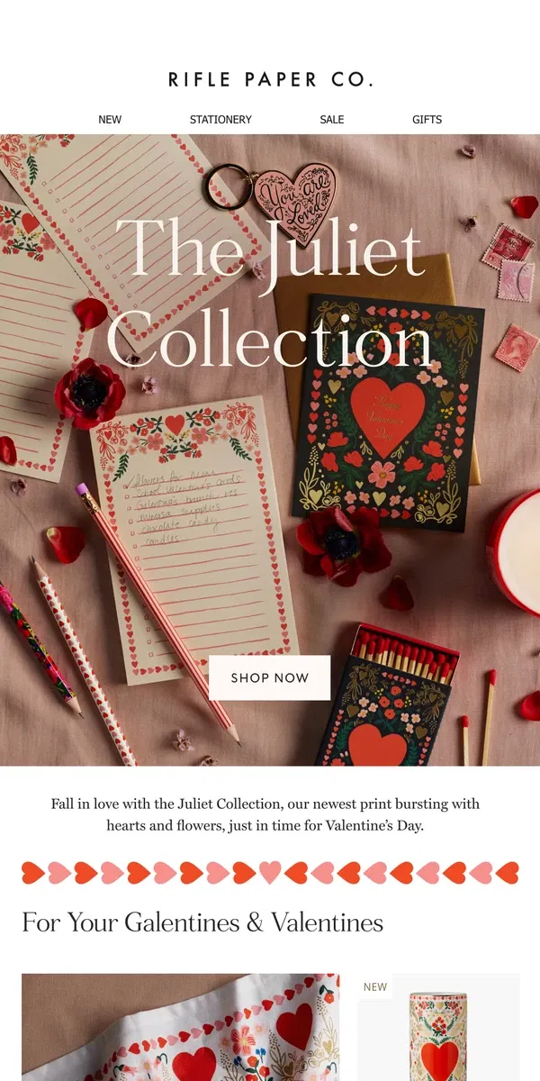 Email from Rifle Paper Co.. New for Valentine's Day 💗