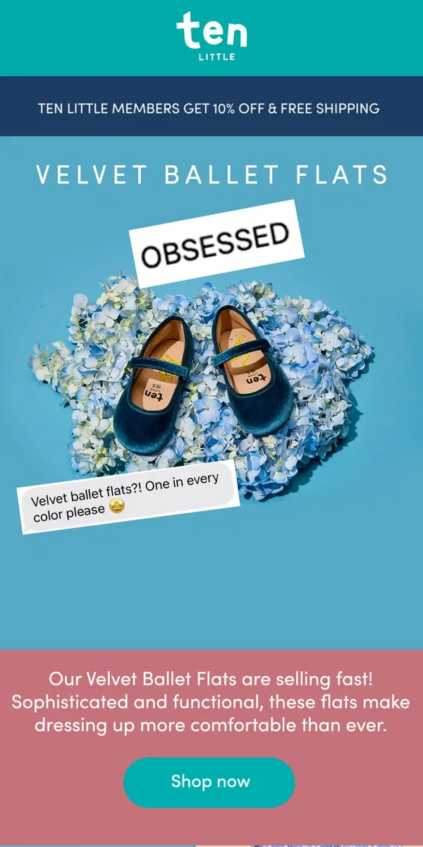 Email from Ten Little. The Velvet Ballet Flats that *everyone* is talking about