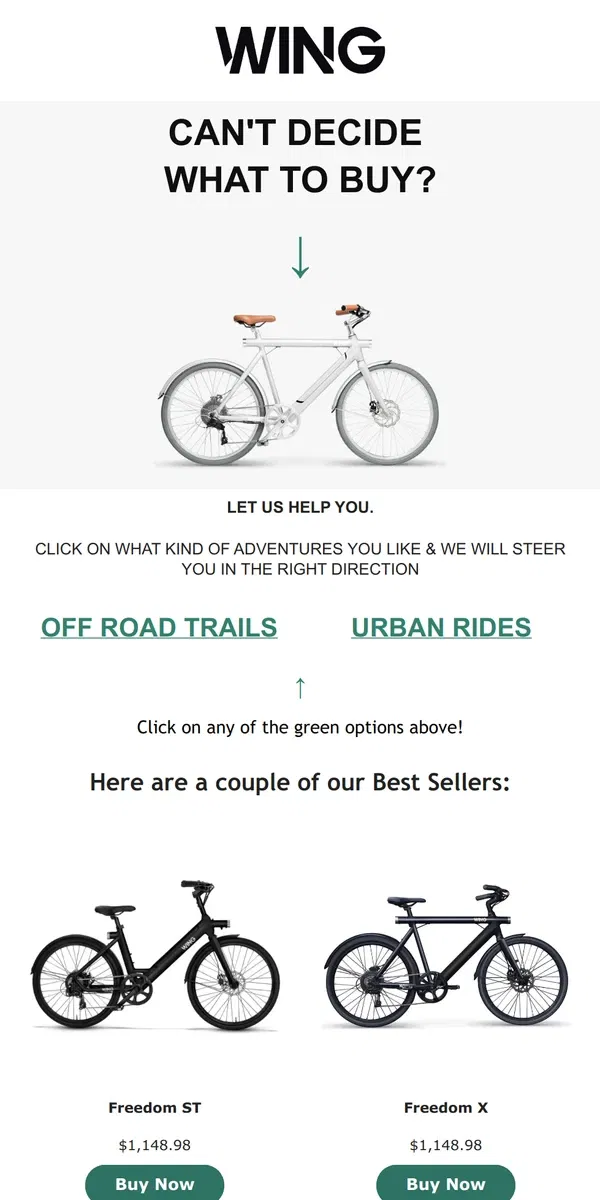 Email from Wing Bikes. Can't decide?