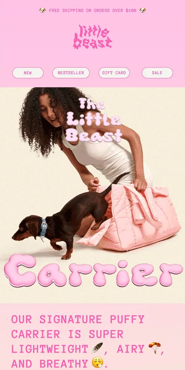 Email from Little Beast. Meet Our New Puffy Dog Carrier!