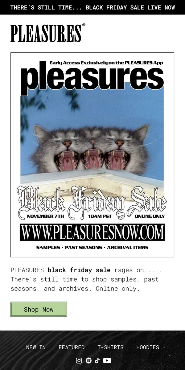 Email from PLEASURES. Black Friday Sale Rages On.....