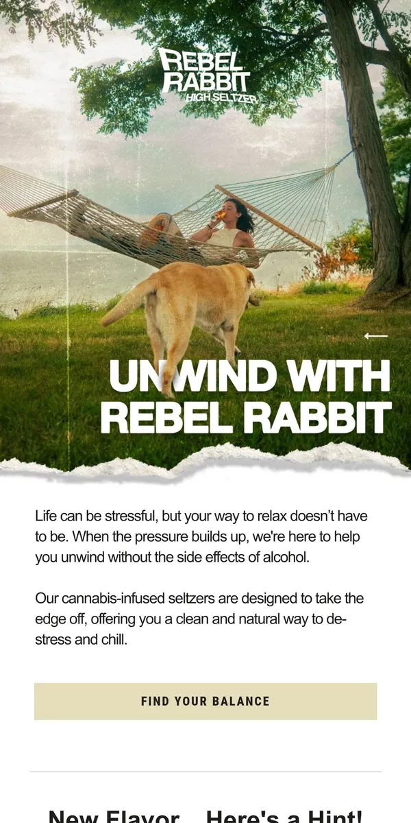 Email from Rebel Rabbit. 🐇 Feeling Stressed? We Got the Perfect Chill