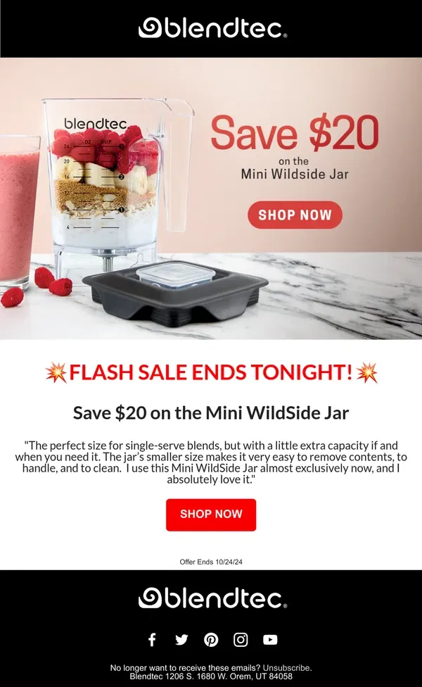 Email from Blendtec. FLASH SALE ALERT!!