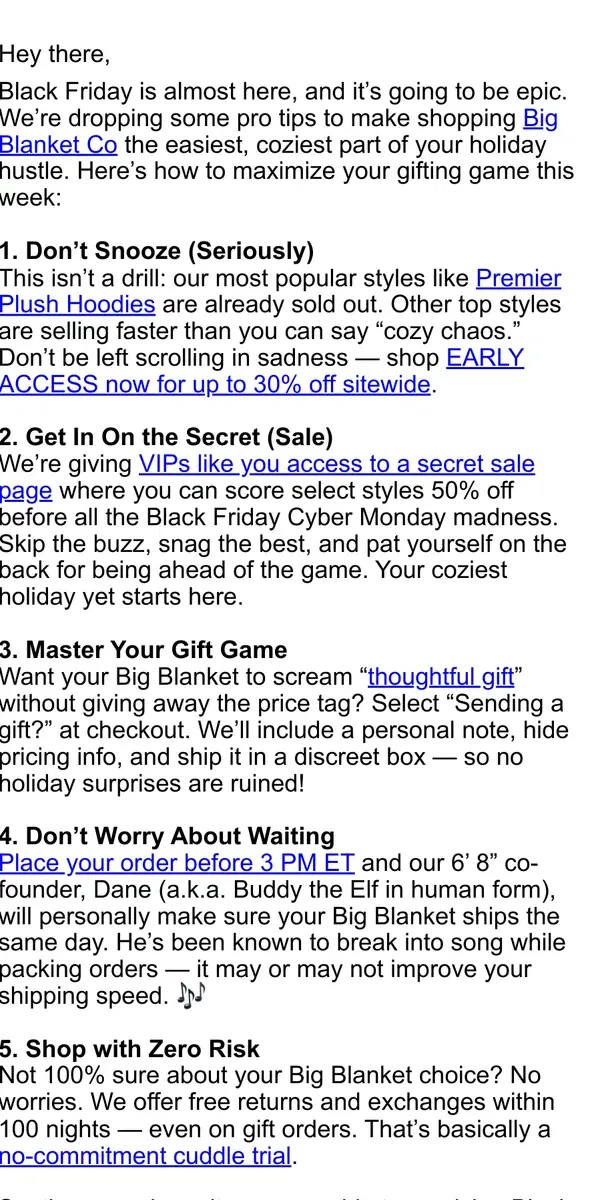 Email from Big Blanket Co. Black Friday Survival Guide (Big Blanket Style)